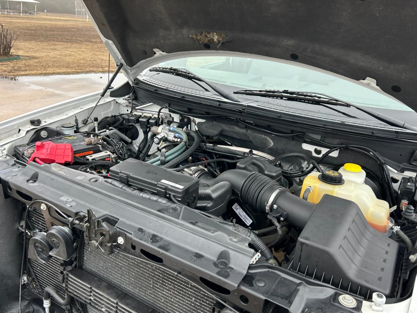 2014 White /Gray Ford F-150 (1FTEX1CM7EK) with an 3.7L V6 engine, 6-Speed Automatic transmission, located at 17760 Hwy 62, Morris, OK, 74445, (918) 733-4887, 35.609104, -95.877060 - Photo#19